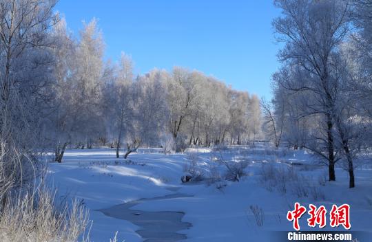 “醉美雪樺”及當?shù)孛袼壮蔀槎颈┞糜蔚牧咙c。　哈巴河縣委宣傳部供圖 攝