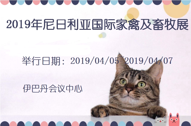 博覽會